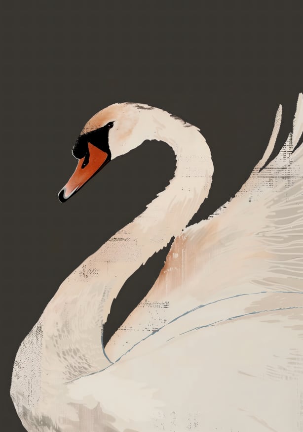 Quadro The Swan By Andreas Magnusson