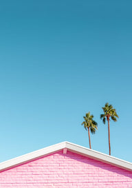 Quadro Pink Roofline With Palm Trees By Tom Windeknecht