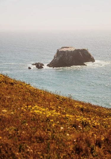 Quadro Coastal Rock in Bodega Bay