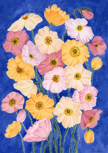 Vibrant Poppy Blooms