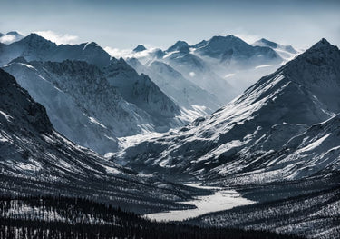 Quadro Mighty Alaska