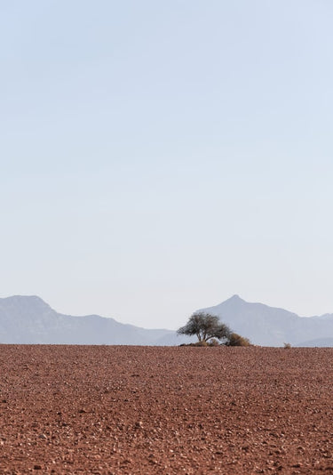 Quadro Swart Land 02