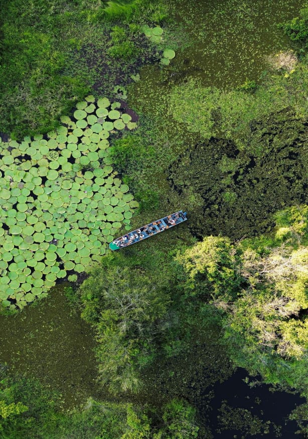 Quadro Segredos da Amazonia