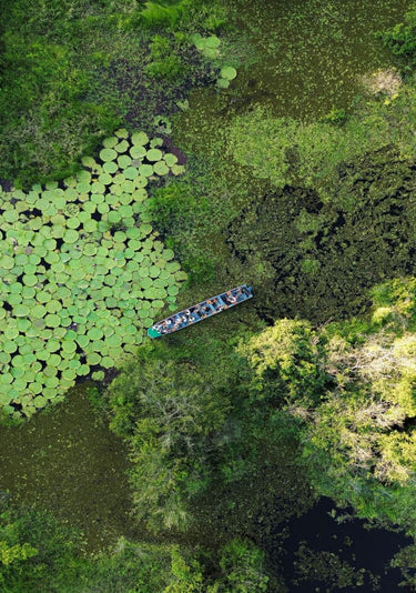 Quadro Segredos da Amazonia