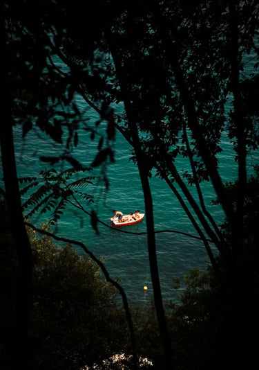 Quadro Hidden Swim