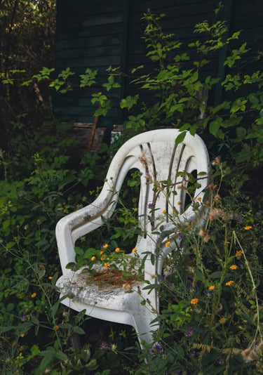 Quadro Wild Seat