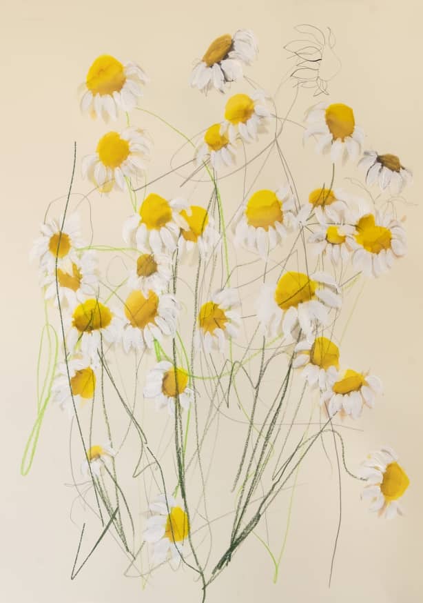 Quadro Chamomile 01