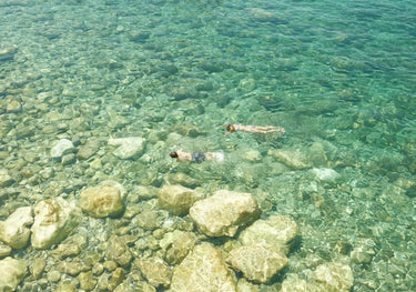 Quadro Snorkelling