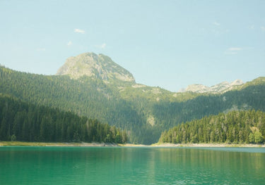 Quadro The Black Lake
