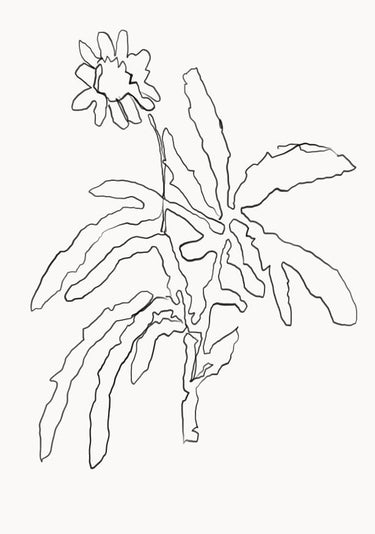 Quadro Flower Scribble