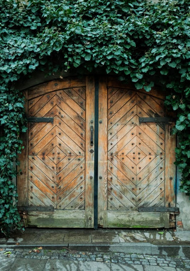 Quadro The Door