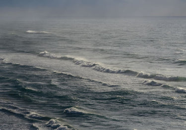 Quadro Winter Surfing IX