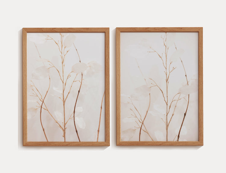 Dupla de quadros de fotografia de flores brancas, minimalista e delicado.