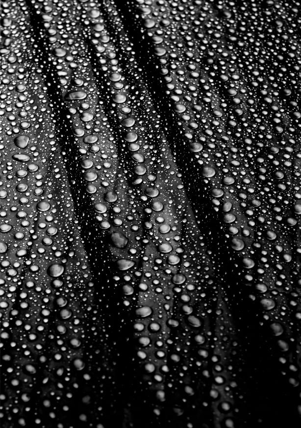 Quadro Cultured Rain Pearls by Simon Ciappara LRPS. - Obrah | Quadros e Posters para Transformar a Parede