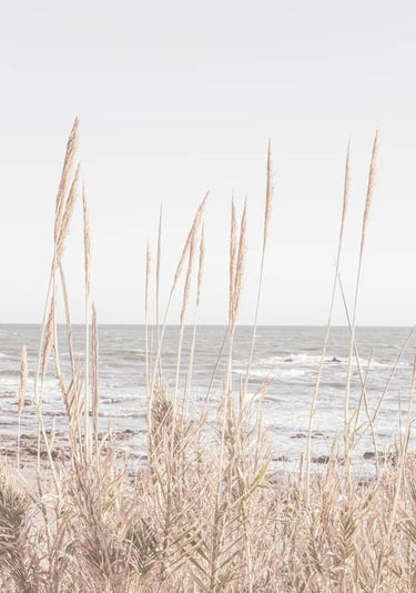 Quadro Beach Vass 001 By 1x Studio