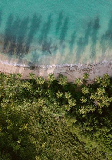Quadro Green Beach From Above 2