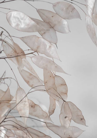 Quadro Abstract Branches Collected in the Forest - Obrah | Quadros e Posters para Transformar a Parede