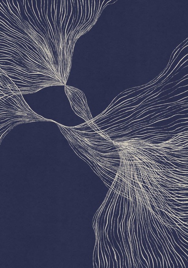 Quadro Interaction #1