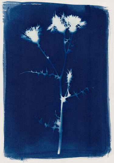 Quadro Magic in the Ordinary #2