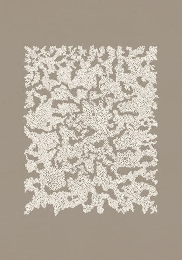 Quadro Organic Lace