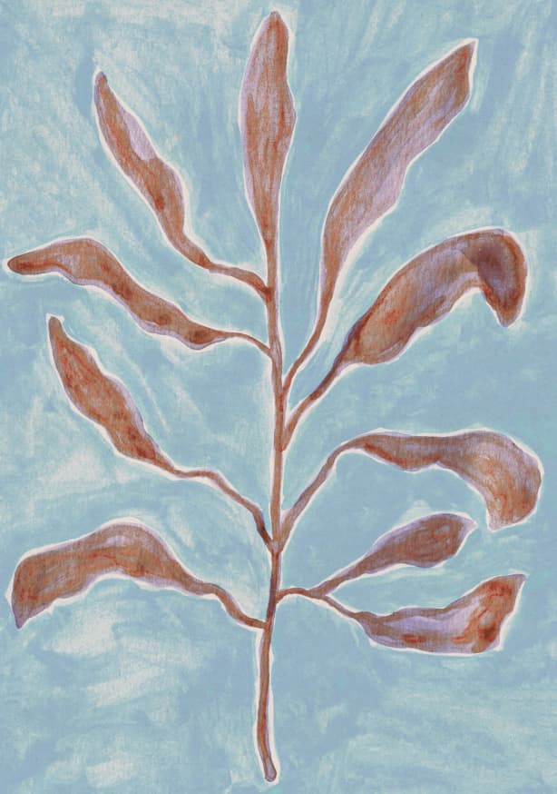 Quadro Watercolor Branch #1