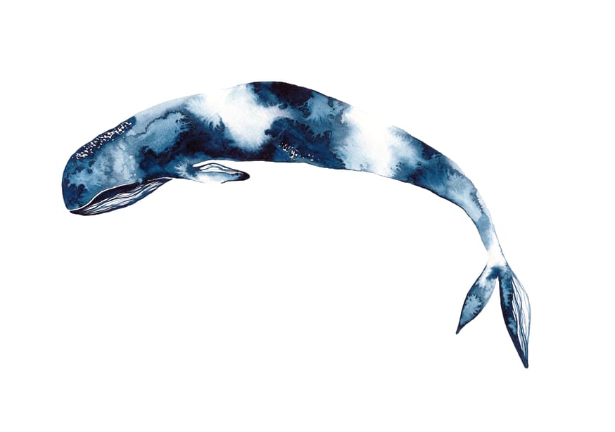 Quadro Baleia Mergulhando - Obrah | Quadros e Posters para Transformar a Parede