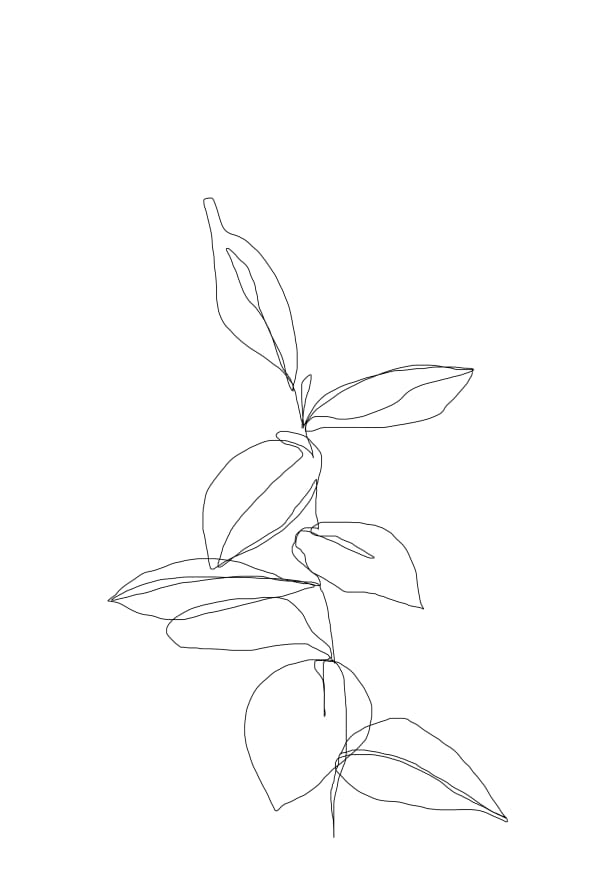 Quadro Berry