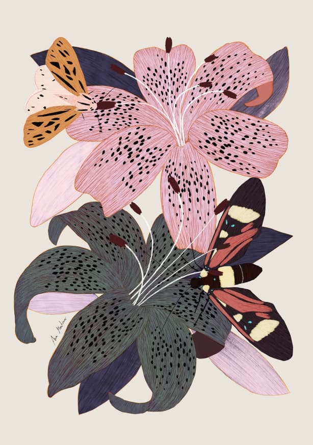 Quadro Lily Flowers - Obrah | Quadros e Posters para Transformar a Parede