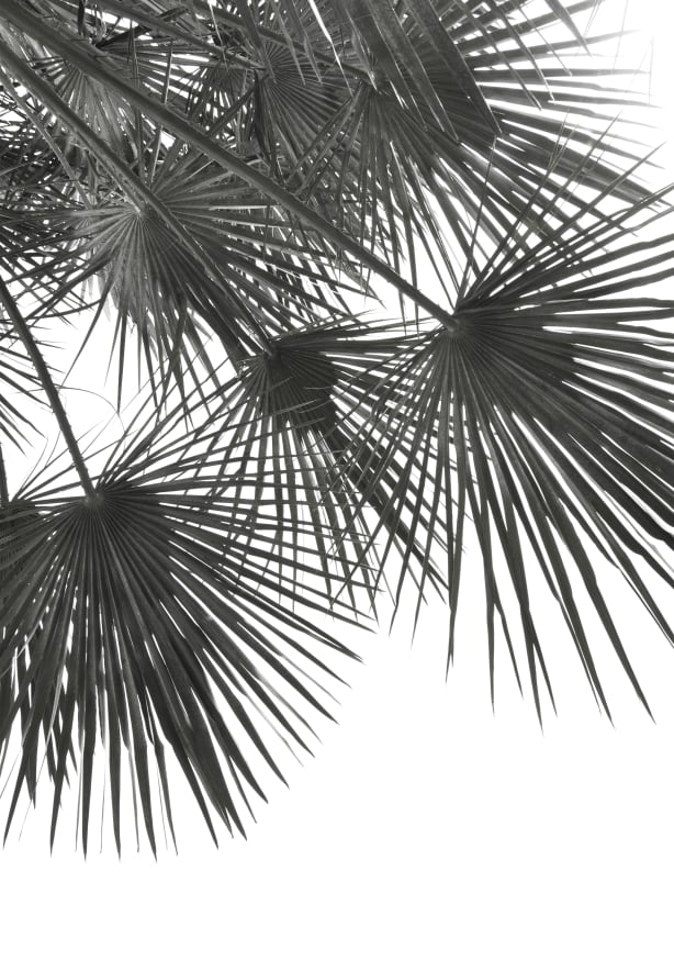 Quadro Endless Summer - Wind - Obrah | Quadros e Posters para Transformar a Parede