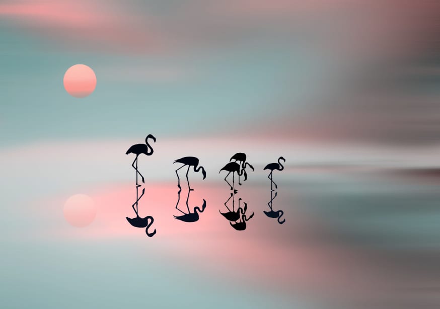 Quadro Family Flamingos by Natalia - Obrah | Quadros e Posters para Transformar a Parede