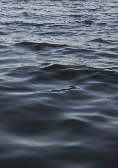 Quadro Feet in the Water - Obrah | Quadros e Posters para Transformar a Parede