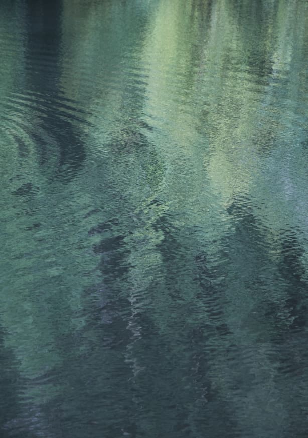 Quadro Forest in the Lake - Obrah | Quadros e Posters para Transformar a Parede