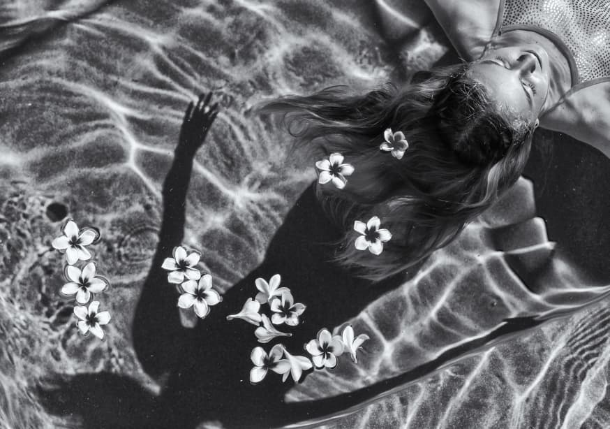 Quadro Frangipani Tree By Gloria Salgado Gispert - Obrah | Quadros e Posters para Transformar a Parede