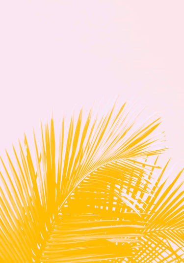 Quadro Freshness - Obrah | Quadros e Posters para Transformar a Parede