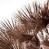 Quadro Gorgeous Golden Palm Leafes - Obrah | Quadros e Posters para Transformar a Parede