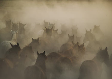 Quadro In Dust by Huseyin Taşkin - Obrah | Quadros e Posters para Transformar a Parede