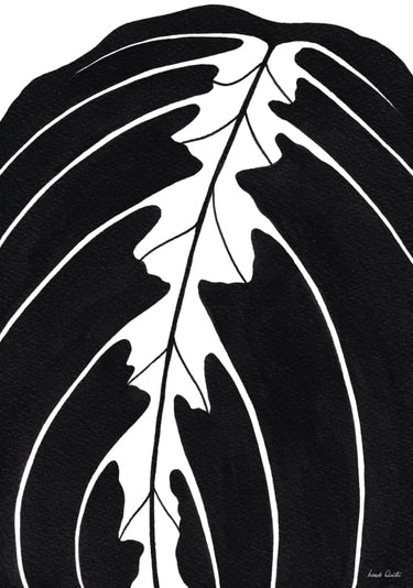 Quadro Maranta Tricolor Peb - Obrah | Quadros e Posters para Transformar a Parede