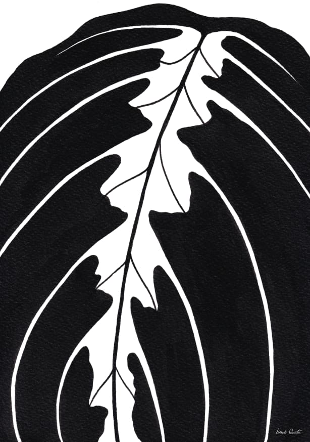 Quadro Maranta Tricolor Peb - Obrah | Quadros e Posters para Transformar a Parede