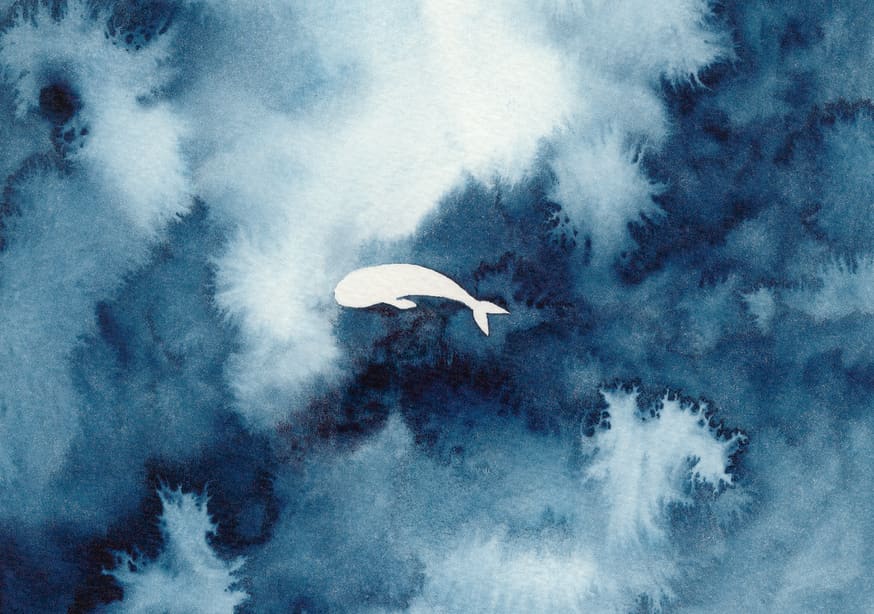 Quadro Menor Baleia do Mundo - Obrah | Quadros e Posters para Transformar a Parede