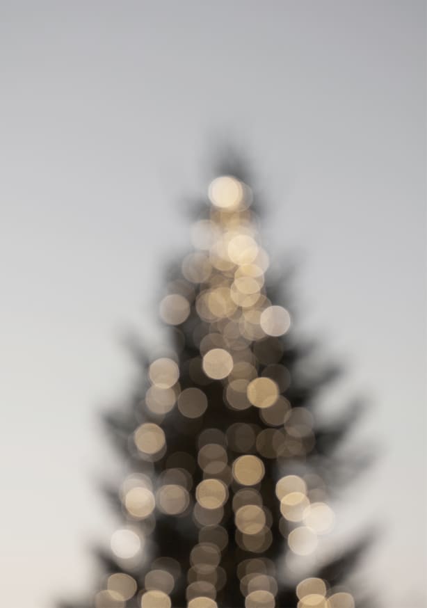 Quadro Merry, Merry Christmas - Obrah | Quadros e Posters para Transformar a Parede