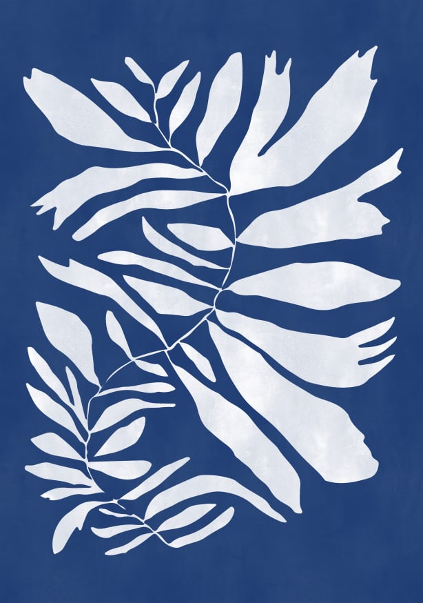 Quadro Mid Century Botanical 02 - Obrah | Quadros e Posters para Transformar a Parede