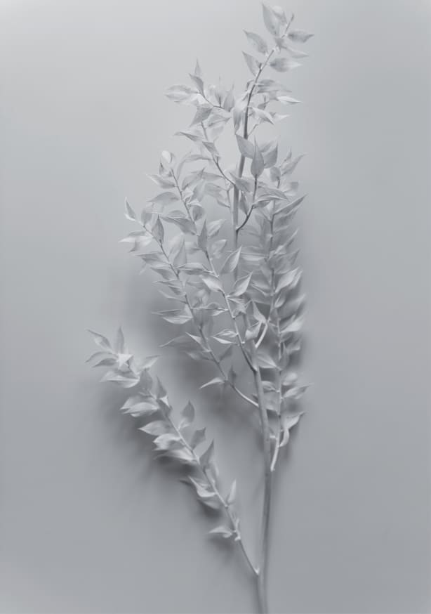 Quadro Mininal White Branch