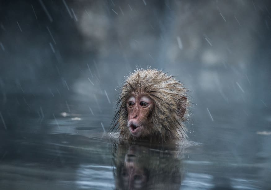 Quadro Mom! by Takeshi Marumoto - Obrah | Quadros e Posters para Transformar a Parede