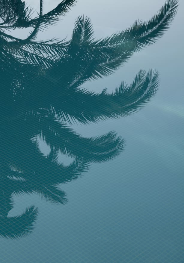 Quadro Palms in the Pool - Obrah | Quadros e Posters para Transformar a Parede