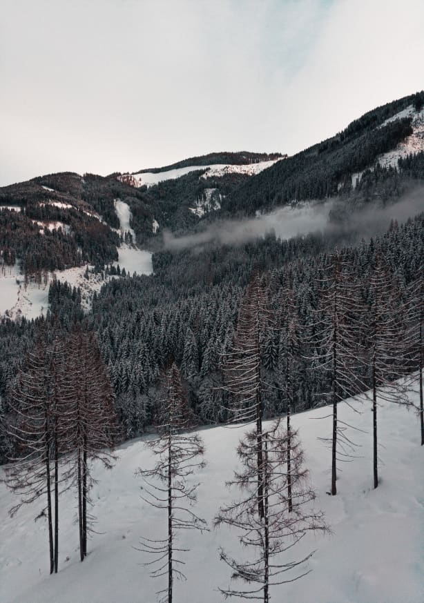 Quadro A Calm Winter's Day