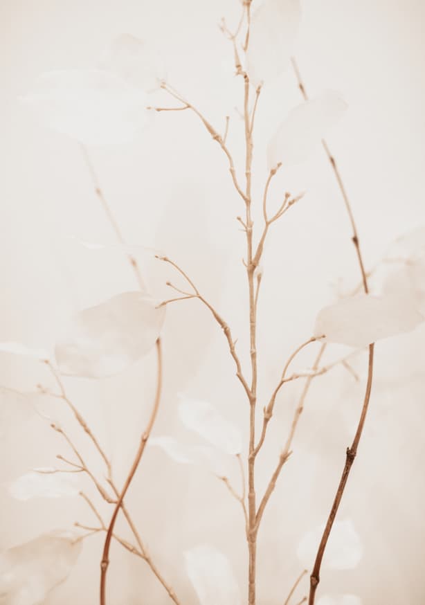 Quadro Flowers II