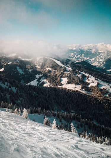 Quadro Mountains Austrian Love
