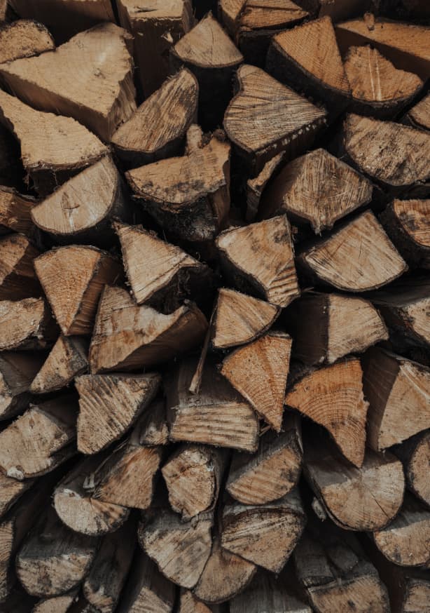 Quadro Woody Textures