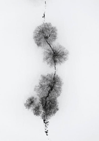 Quadro Trees At a Snowy Ice Stream - Obrah | Quadros e Posters para Transformar a Parede