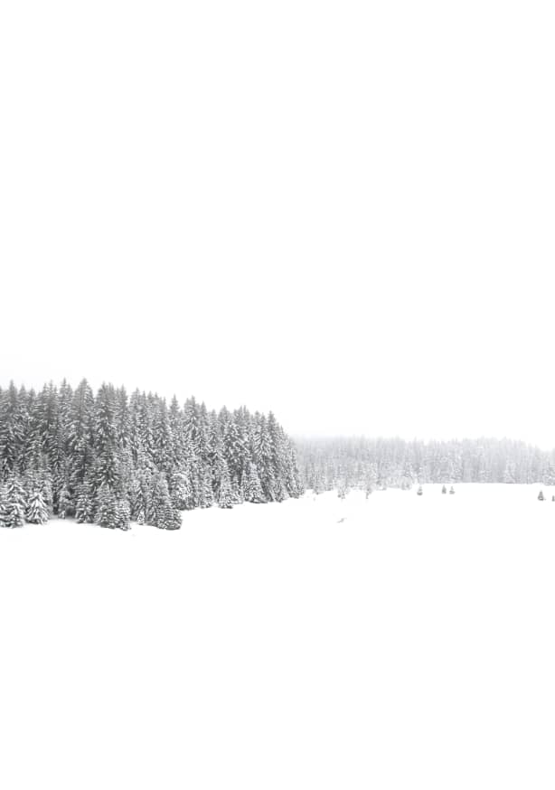 Quadro White White Winter 1 of 2 - Obrah | Quadros e Posters para Transformar a Parede